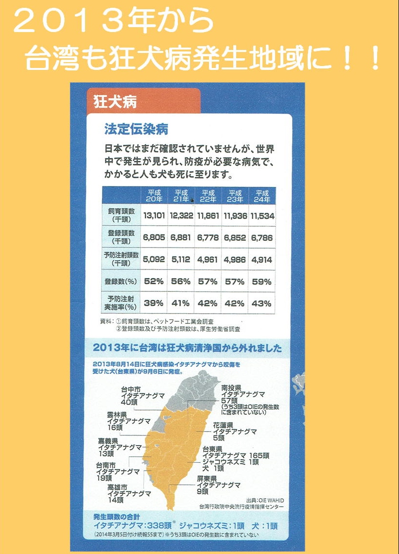 �����a�����n�}